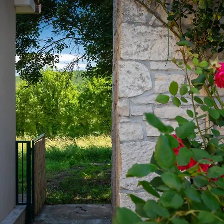 Casa Bastiani With Pool And Grill In Buje